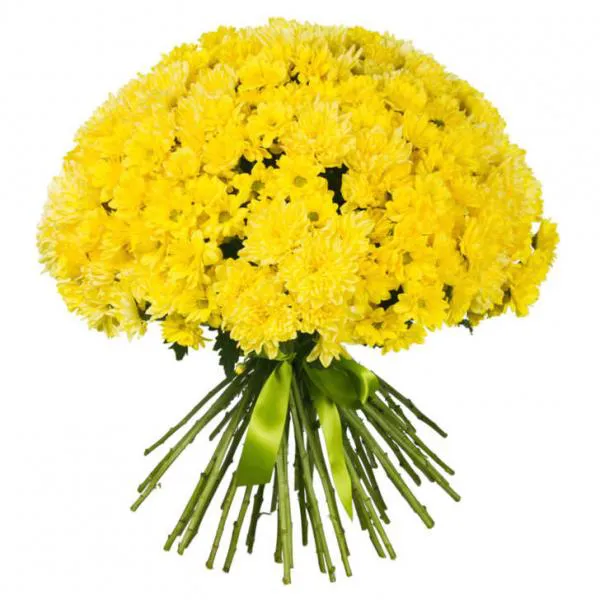 Солнечная мечта